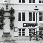 pexels anna urlapova 2968785